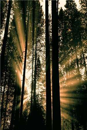 末日高中生封面