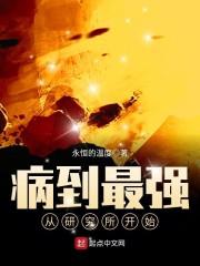 精品全集穿进修真界后，我成了万恶之源迟淼金圣斐封面