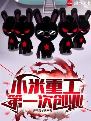 小米重工，第一次创业！封面