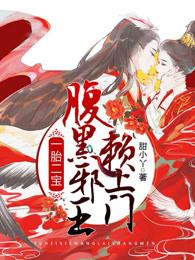 一胎二宝，腹黑邪王赖上门封面